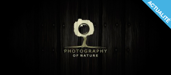 Top 100 - Logos de photographes